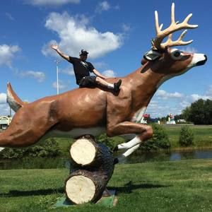 Meet your Posher, Jesse